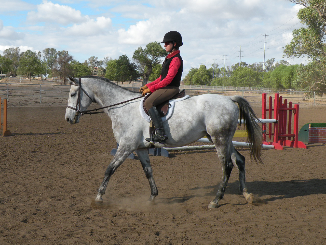 A person riding on the back of a white horse.