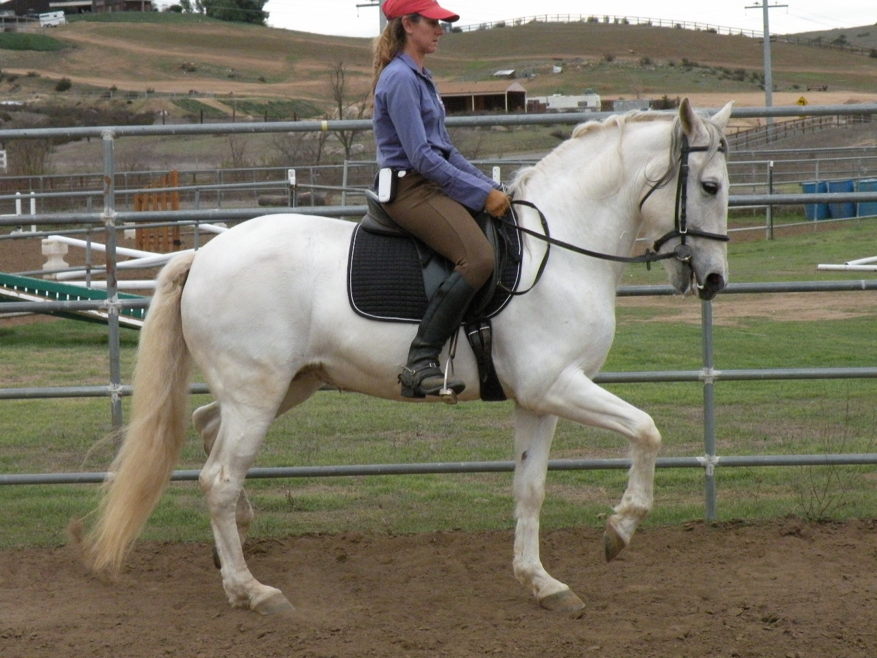 A woman riding on the back of a white horse.