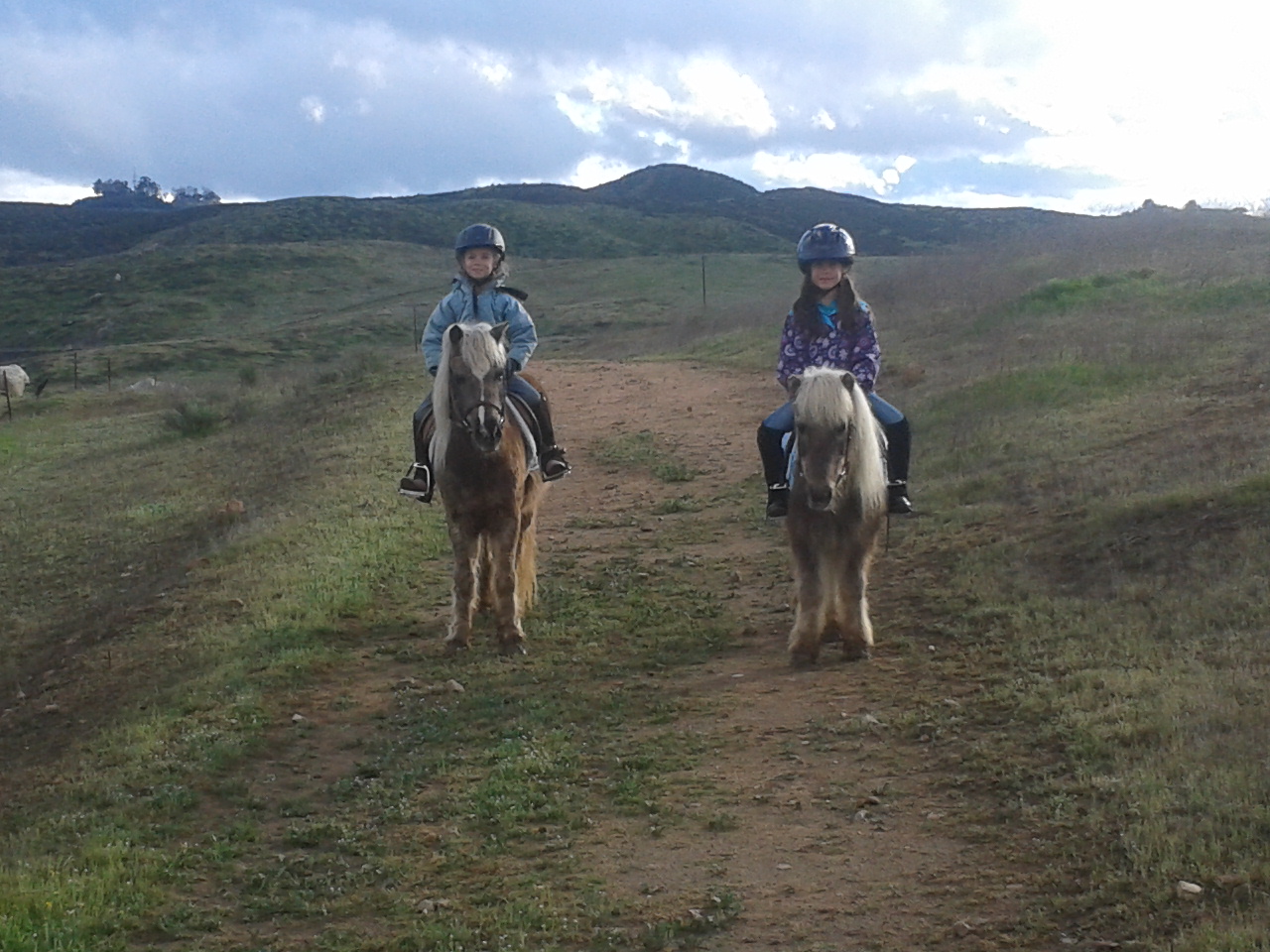 Two people riding horses on a dirt road.