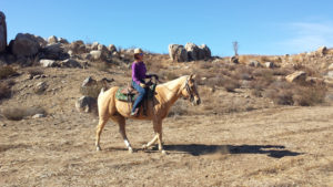 A person riding on the back of a horse.