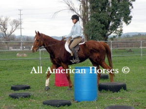 A person riding on the back of a horse.